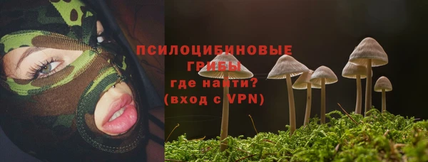 мдма Заволжск